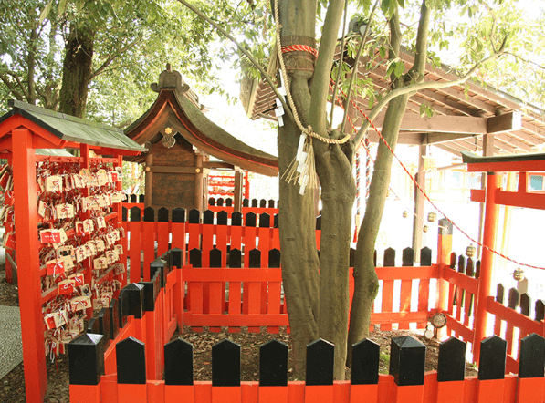京都　賀茂御祖神社の境内にある連理の堅木