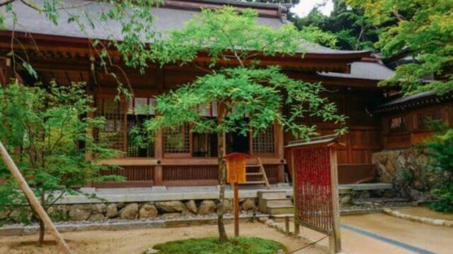 竈門神社　〈再会(サイカチ)の木〉